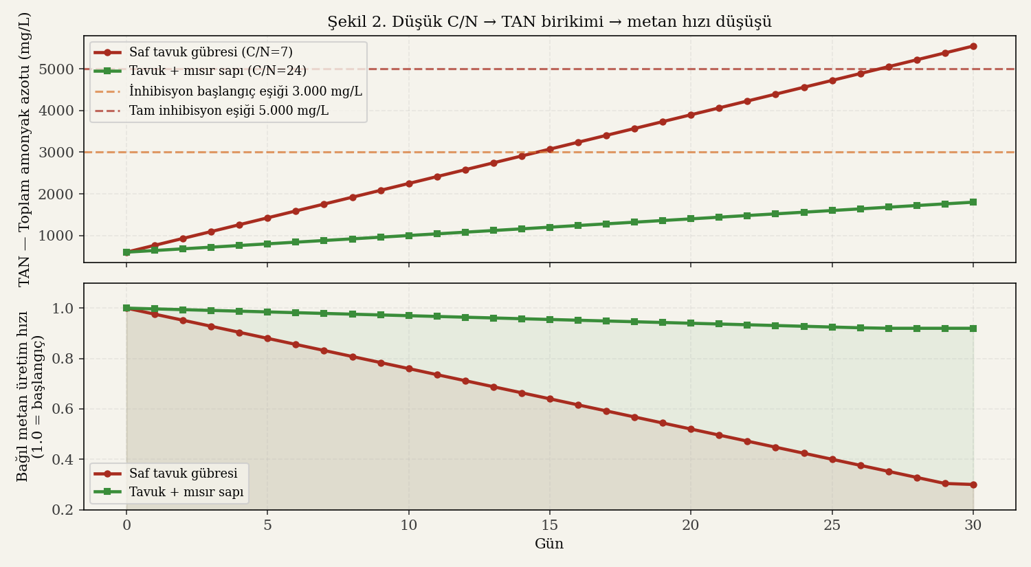 Düşük C/N koşullarında zaman içinde TAN birikimi ve metan üretim hızı düşüşü