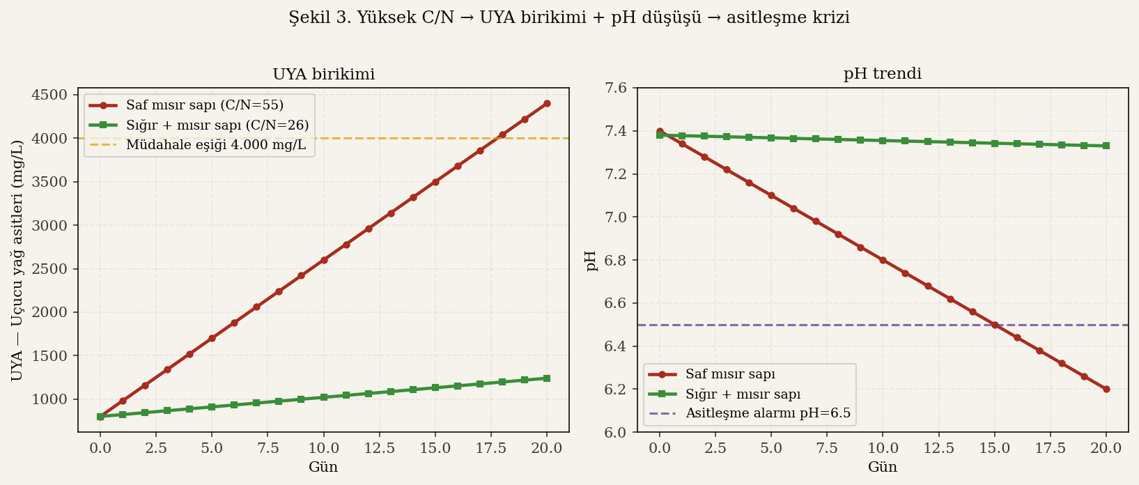 Yüksek C/N koşullarında UYA birikimi ve pH düşüşü ile asitleşme krizi