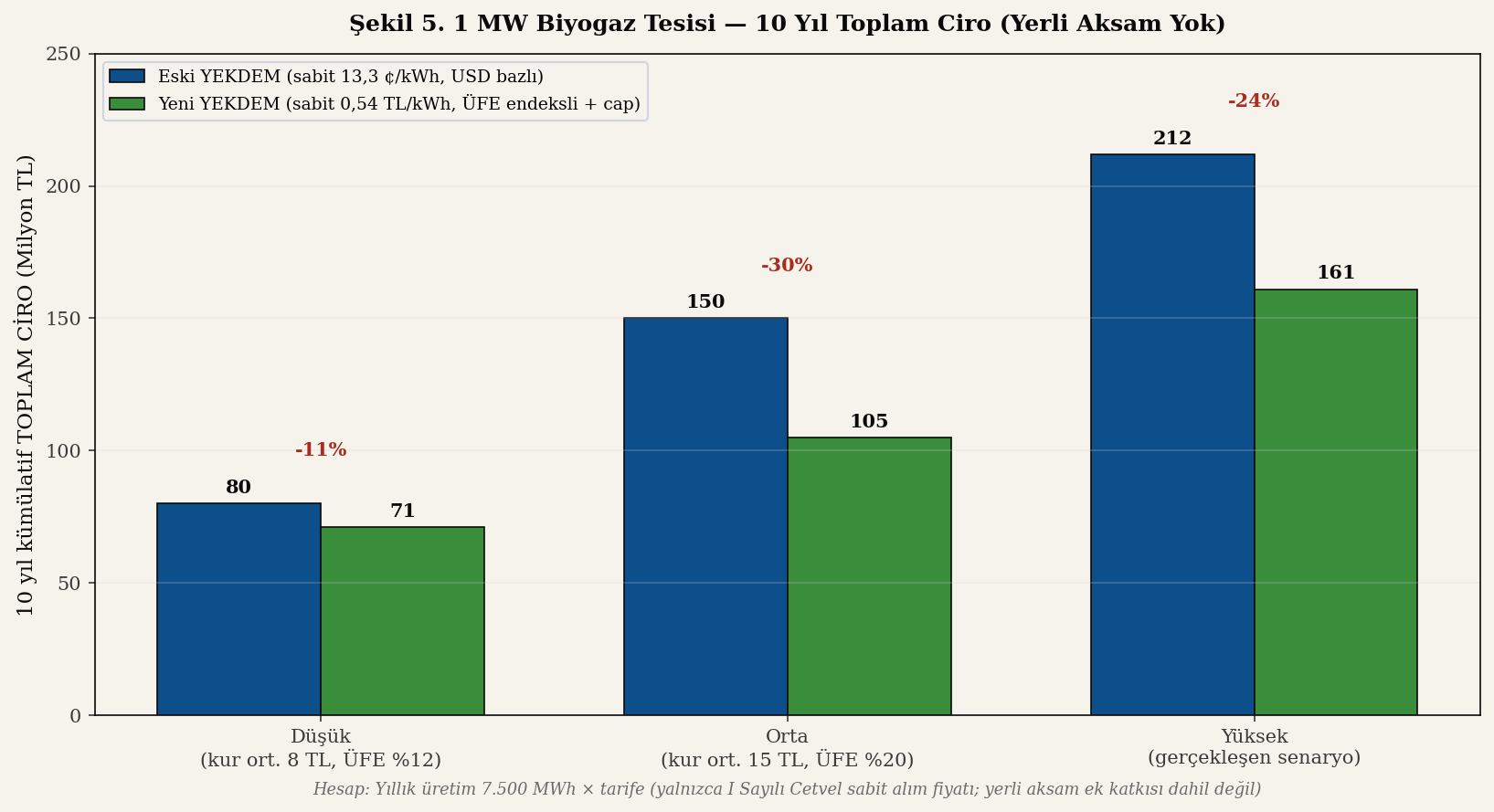 1 MW biyogaz tesisi 10 yıl ciro simülasyonu görseli
